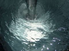 sivi-mikserler - dissolver-mikser